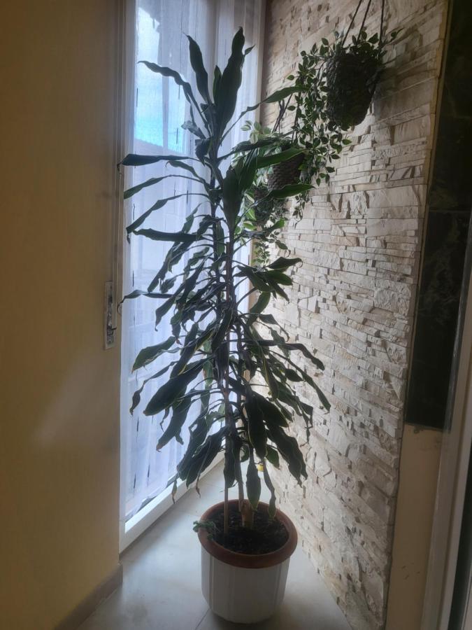 Casa Hanna2 Intra Dış mekan fotoğraf